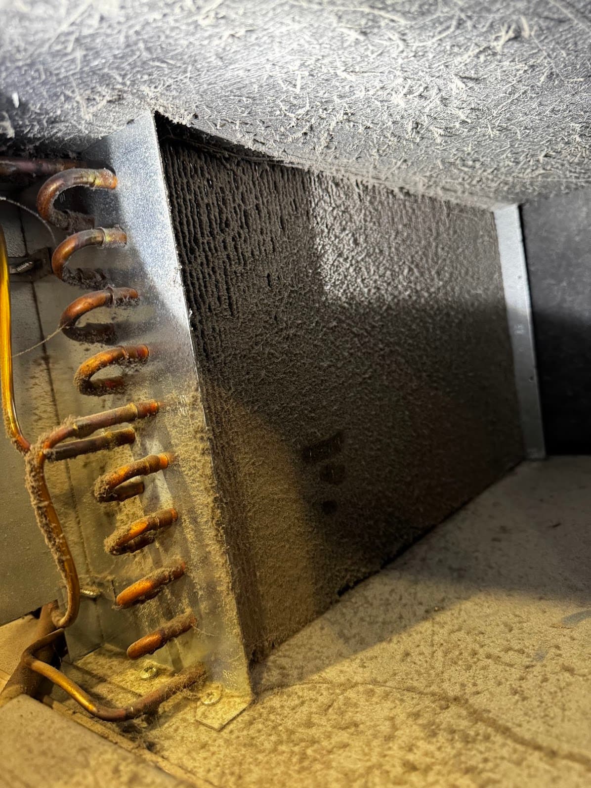 Sub-Zero condenser coils clogged with dust before cleaning